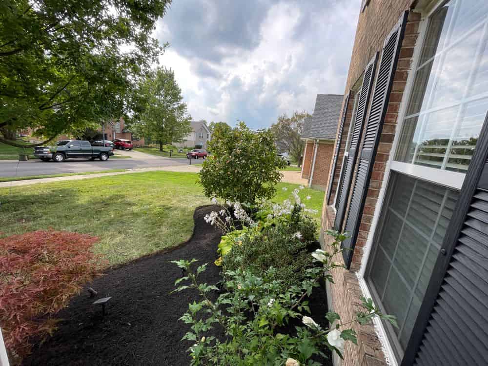 Landscape Design image