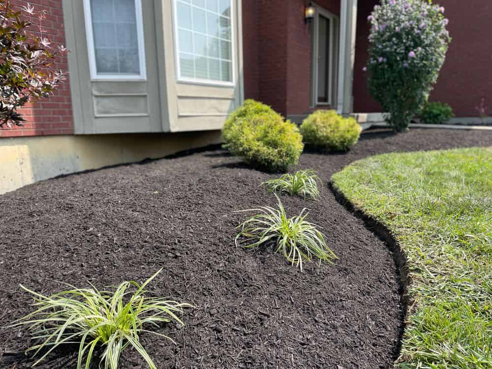 Mulch Installation image