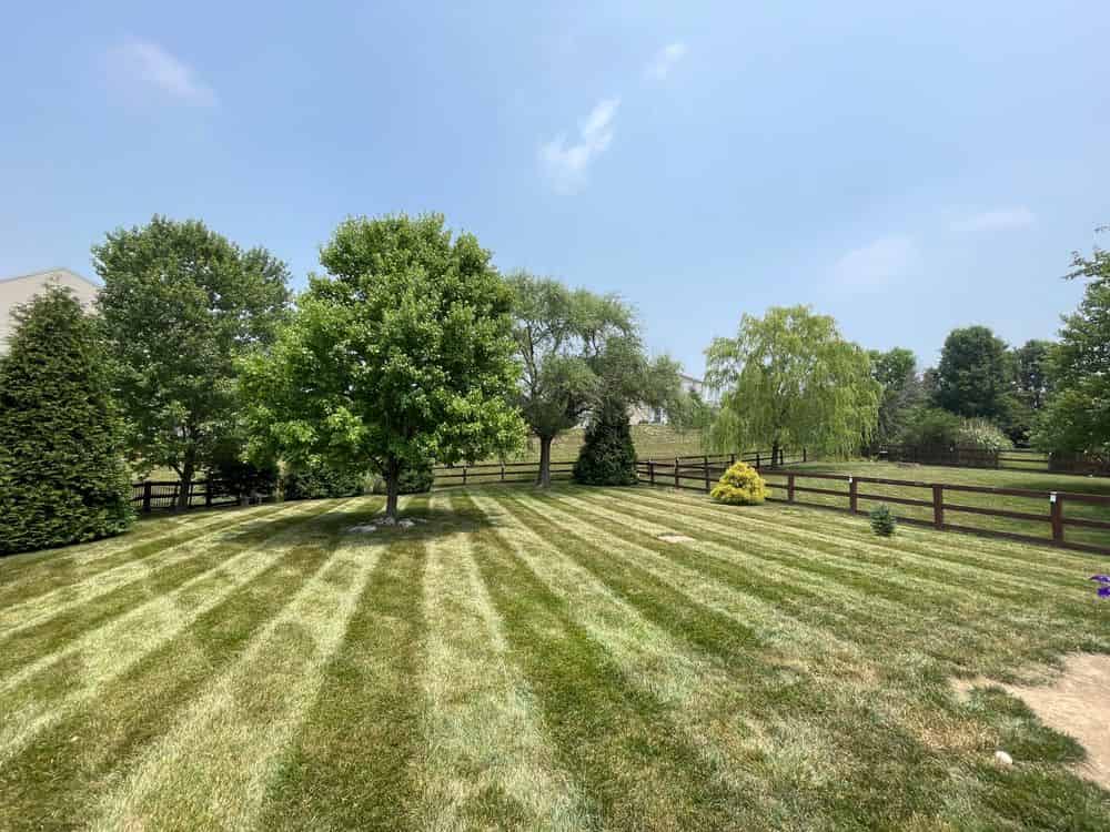 Spring/Fall Clean ups image