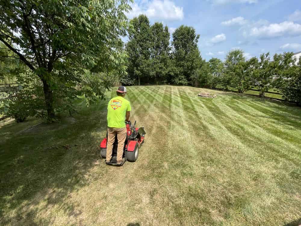 Lawn Care image