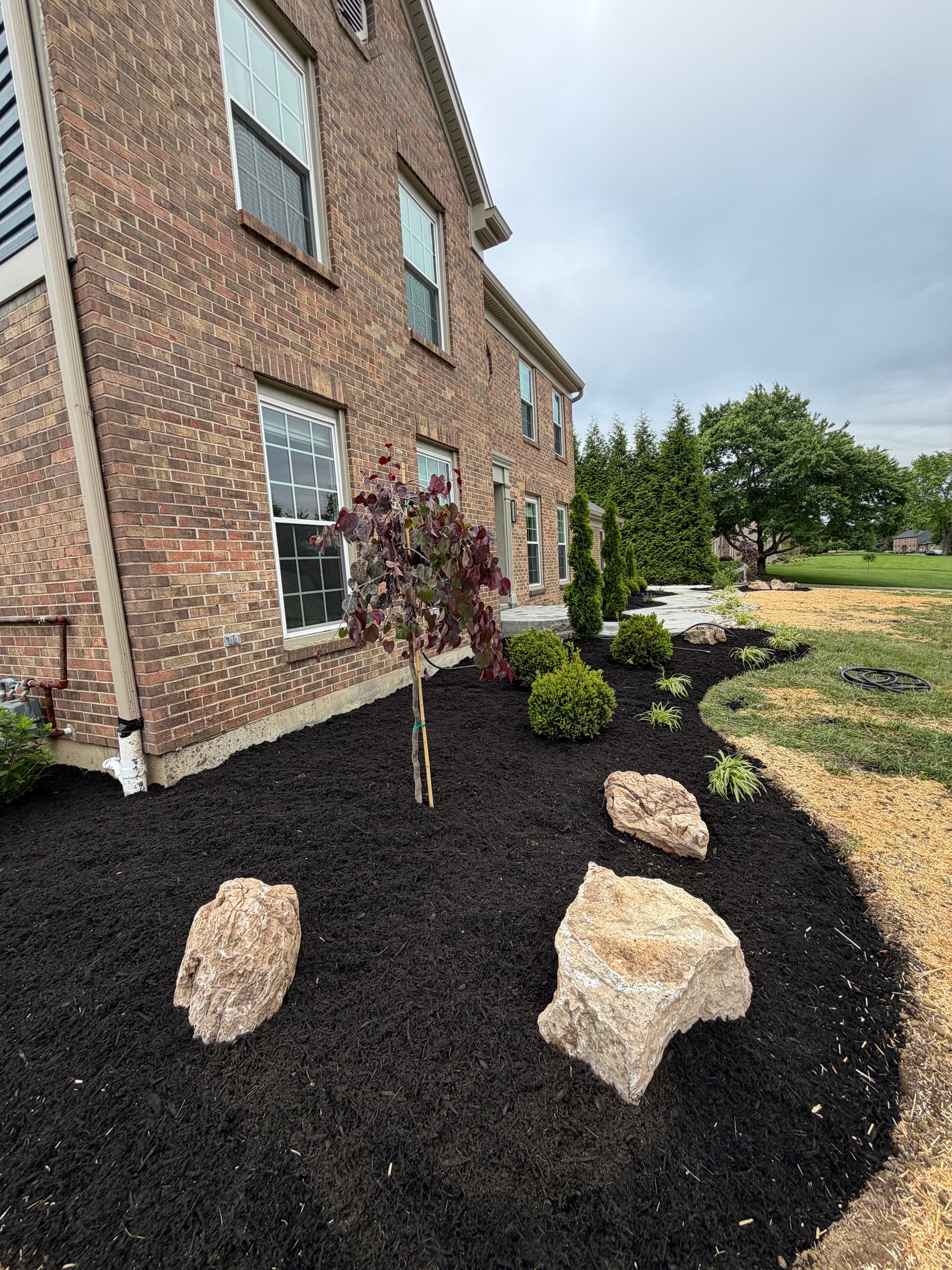 Gallery photos for Full Landscape Redesign and Install in Hebron KY: Image #5