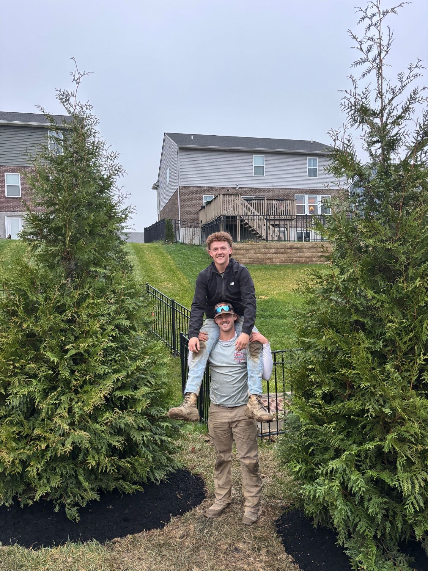 Gallery photos for Enhancing Poolside Privacy with Green Giant Arborvitaes: Image #1