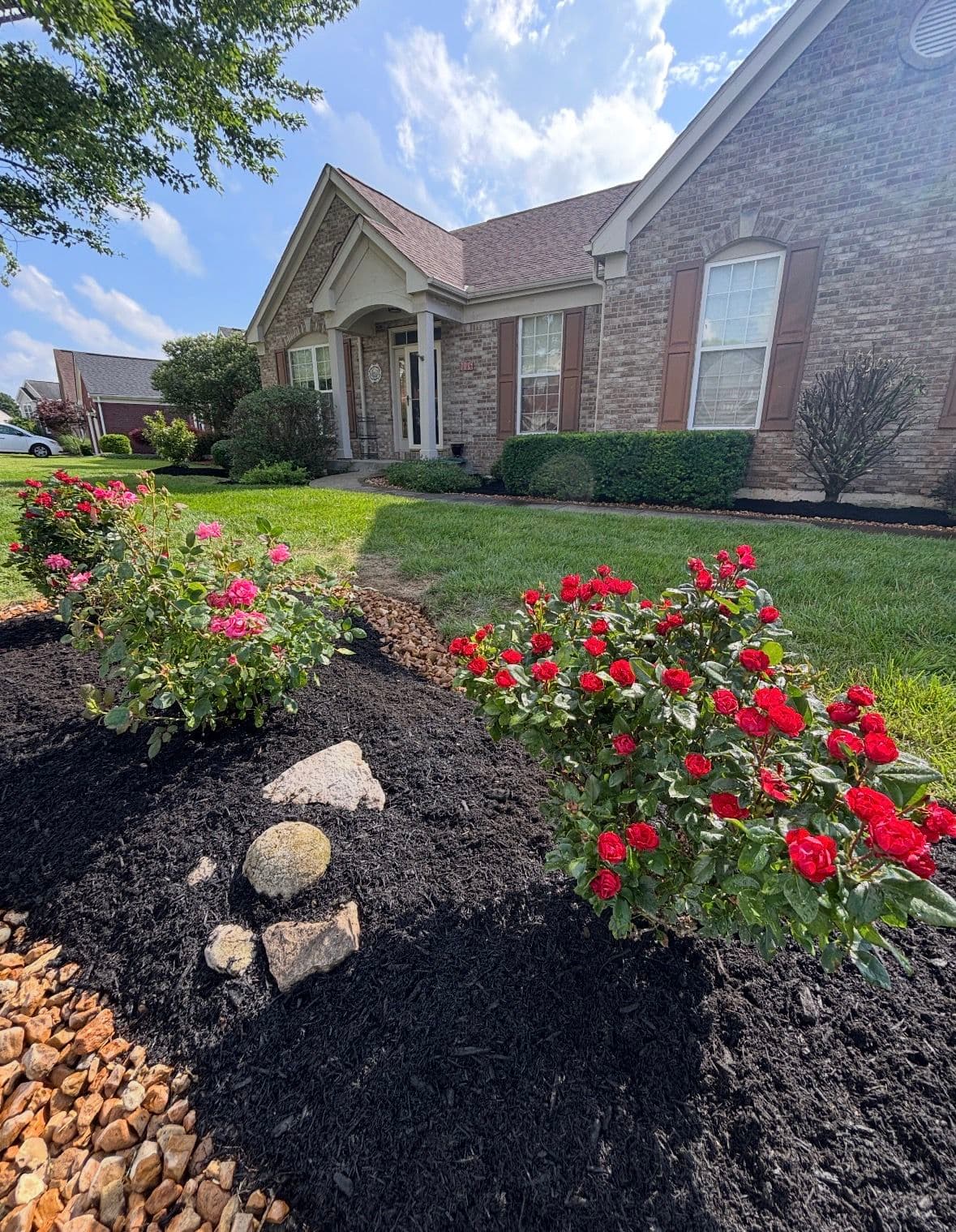 Comprehensive Outdoor Upgrades image