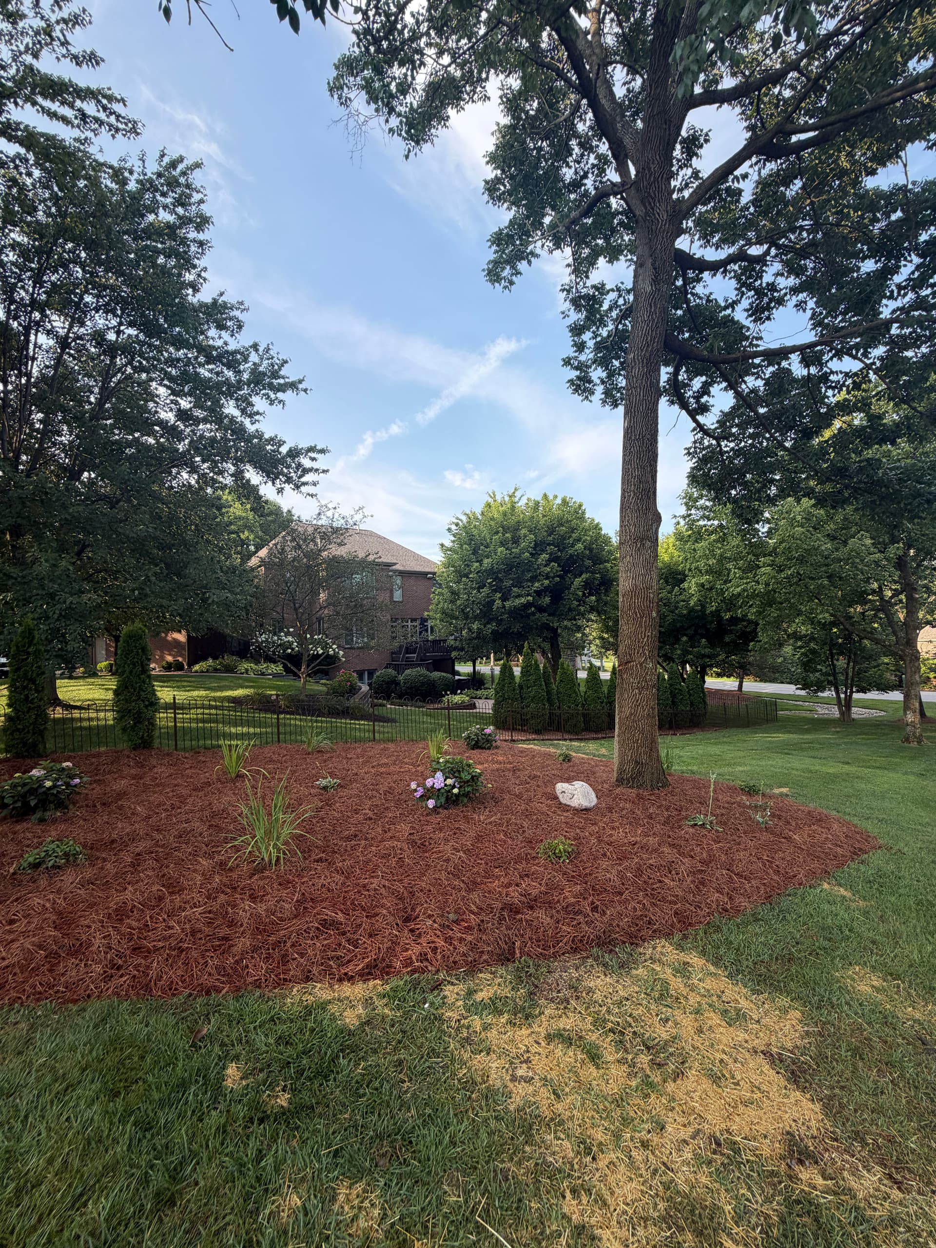 Gallery photos for Full Landscape Overhaul in Union KY with Stone and Black Mulch: Image #1