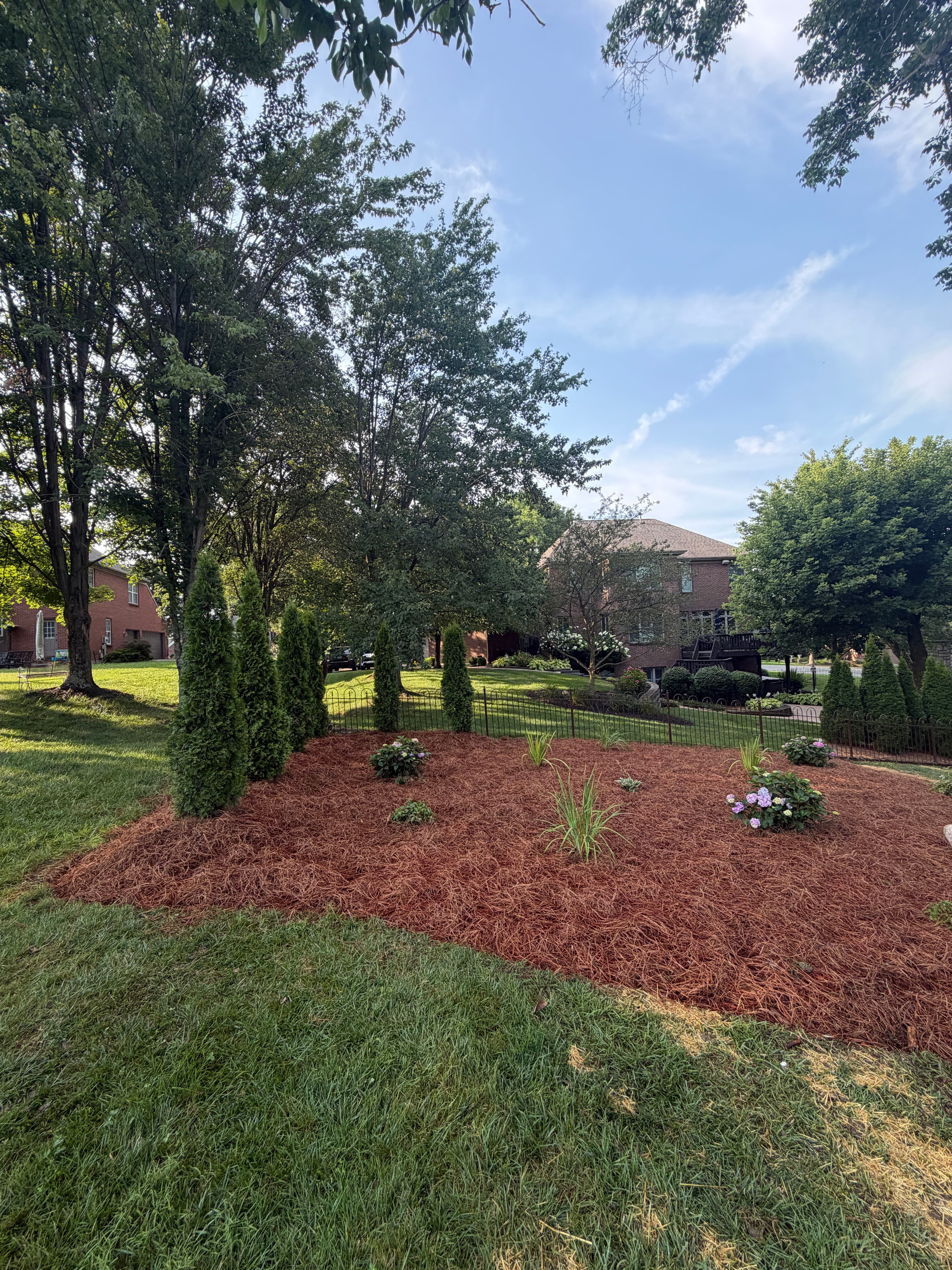 Project Full Landscape Overhaul in Union KY with Stone and Black Mulch image
