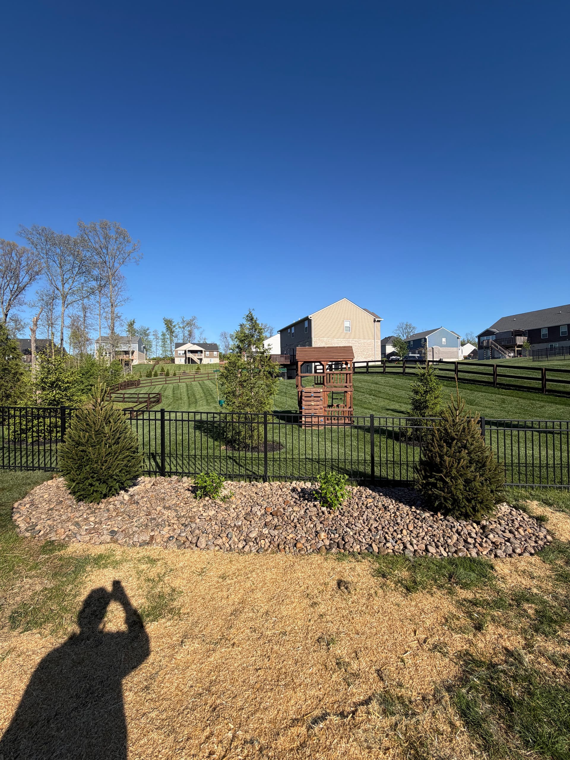 Gallery photos for Privacy Trees, Landscape Beds and River Rock in Union KY: Image #2