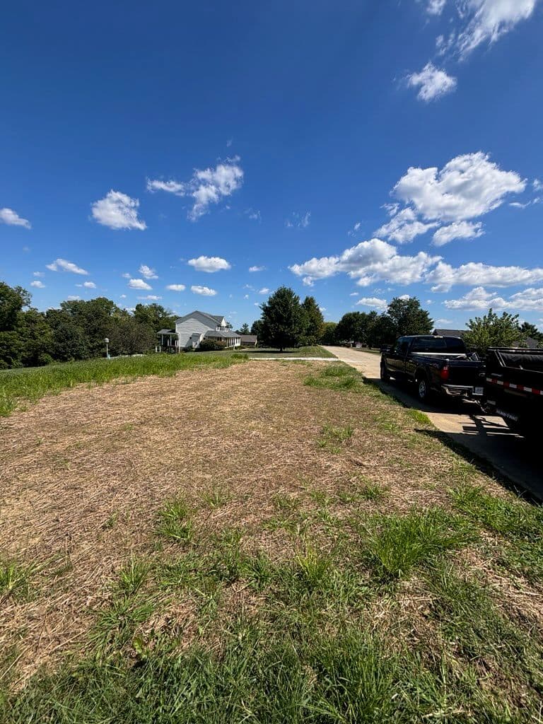 Lawn Transformation 4000 sqft of Weeds Transformed image