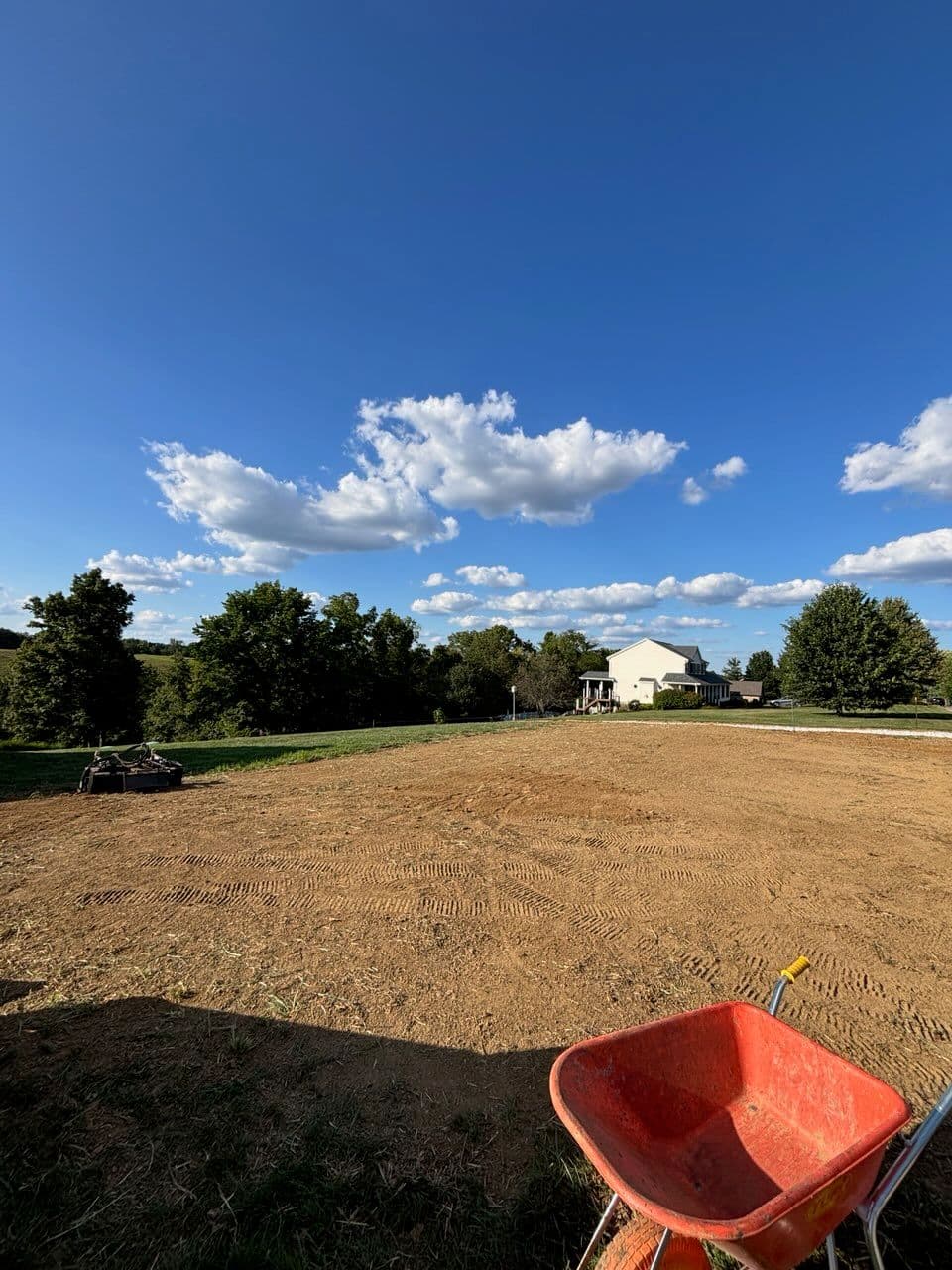 Gallery photos for Lawn Transformation 4000 sqft of Weeds Transformed: Image #1