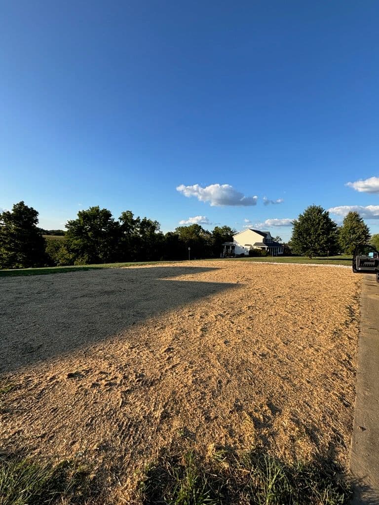 Gallery photos for Lawn Transformation 4000 sqft of Weeds Transformed: Image #2