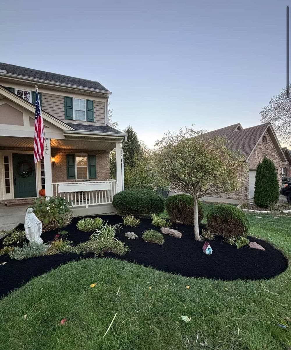 Beautiful front yard landscape featuring a tree, shrubs, and fresh black mulch with American flag.