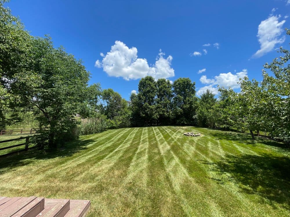 Lush green backyard with neatly striped grass, trees, and a fire pit under a blue sky.