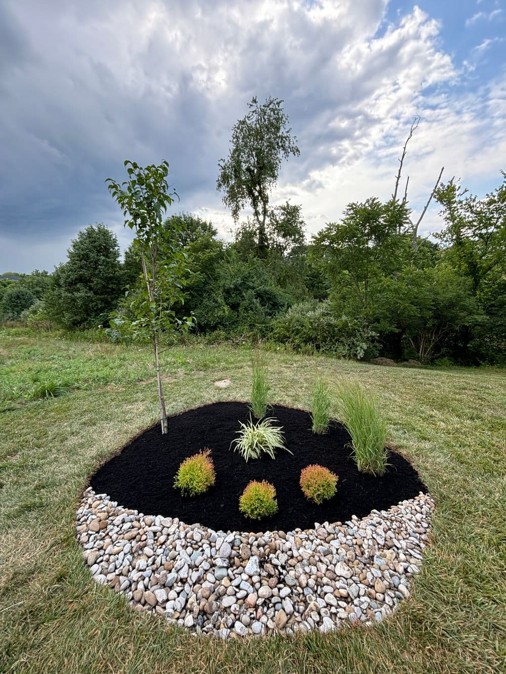 Landscaped garden bed with a small tree, ornamental grasses, and decorative stones under a cloudy sky.