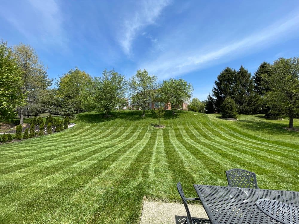 Lush green lawn with striped patterns, trees, and a house on a sunny day.