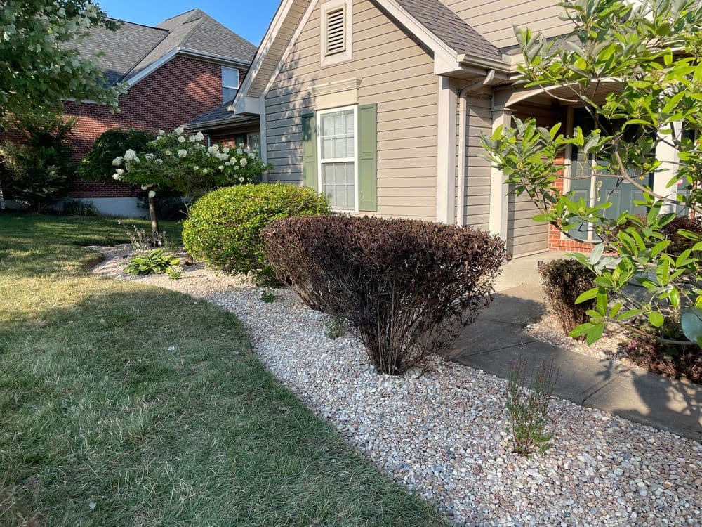 Front yard landscaping featuring shrubs, gravel pathway, and a well-maintained home facade.