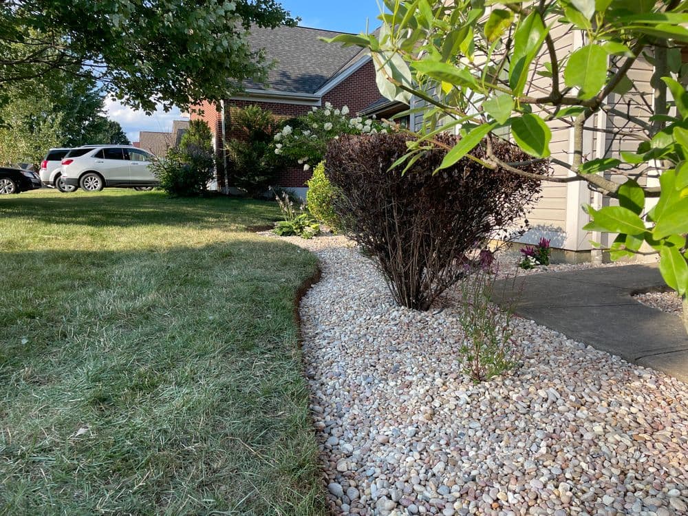 Neatly landscaped front yard with gravel path, shrubs, and green grass near a brick house.