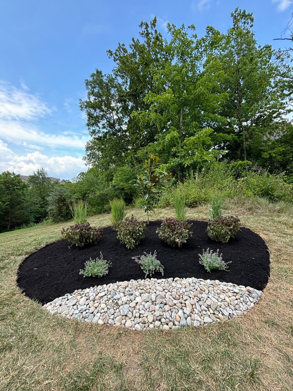 Flower bed with black mulch, rocks, and various plants surrounded by grass and trees.