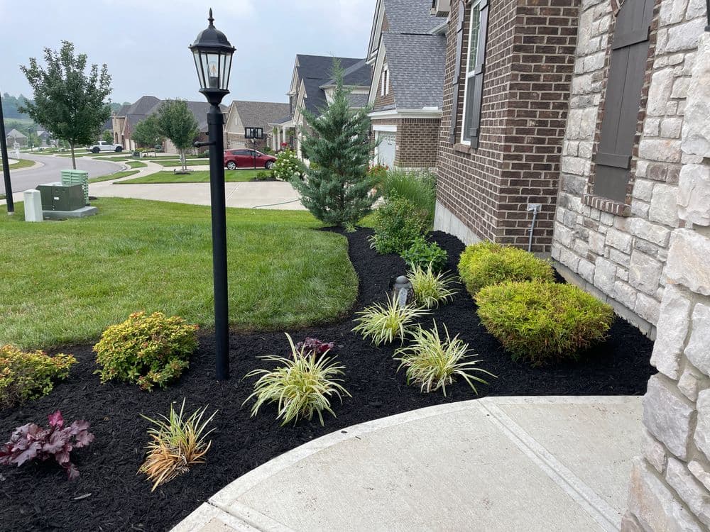 Lush front yard landscaping with varied plants and a decorative lamp post near a suburban home.
