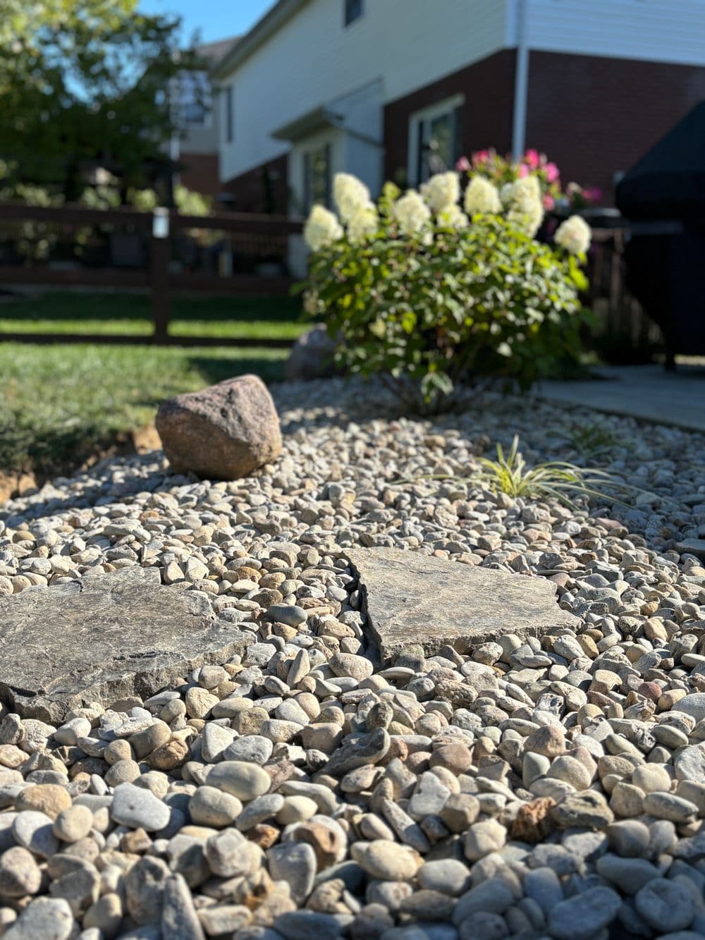Rock garden with pebbles, stone path, and flowering shrubs in a residential setting.