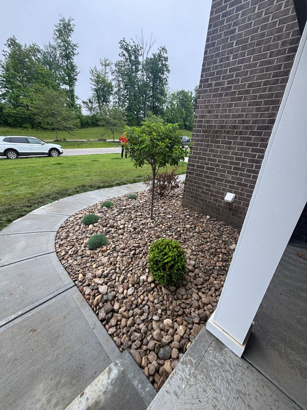 Landscaped garden featuring rocks, shrubs, and a small tree beside a modern home.