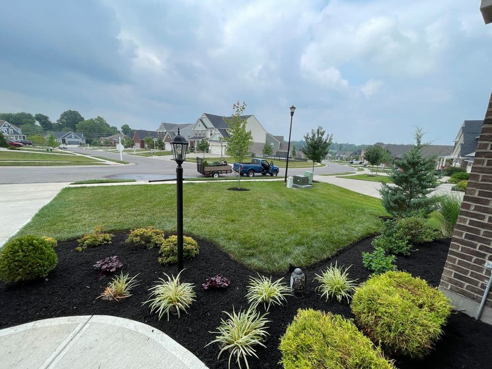 Beautifully landscaped front yard featuring green grass, shrubs, and decorative plants.