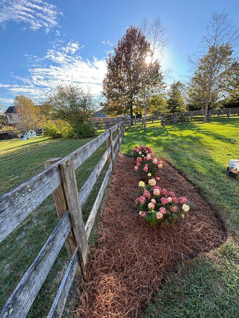 Colorful flowers along a rustic wooden fence in a sunny garden landscape.