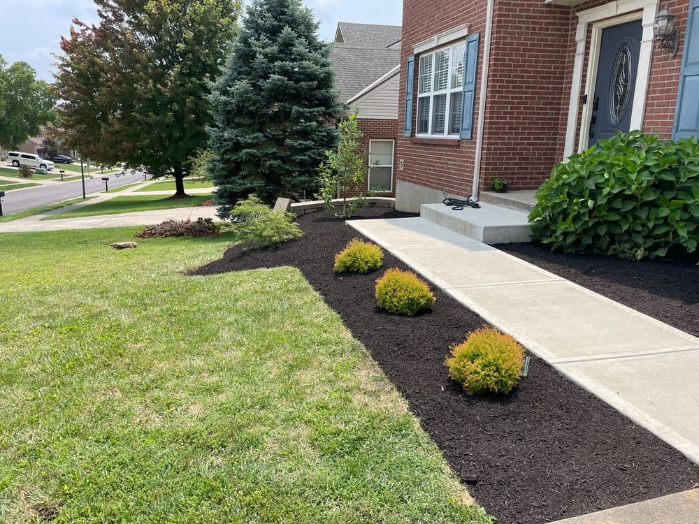 Landscaped front yard with mulch, bushes, and a welcoming entrance to a brick home.