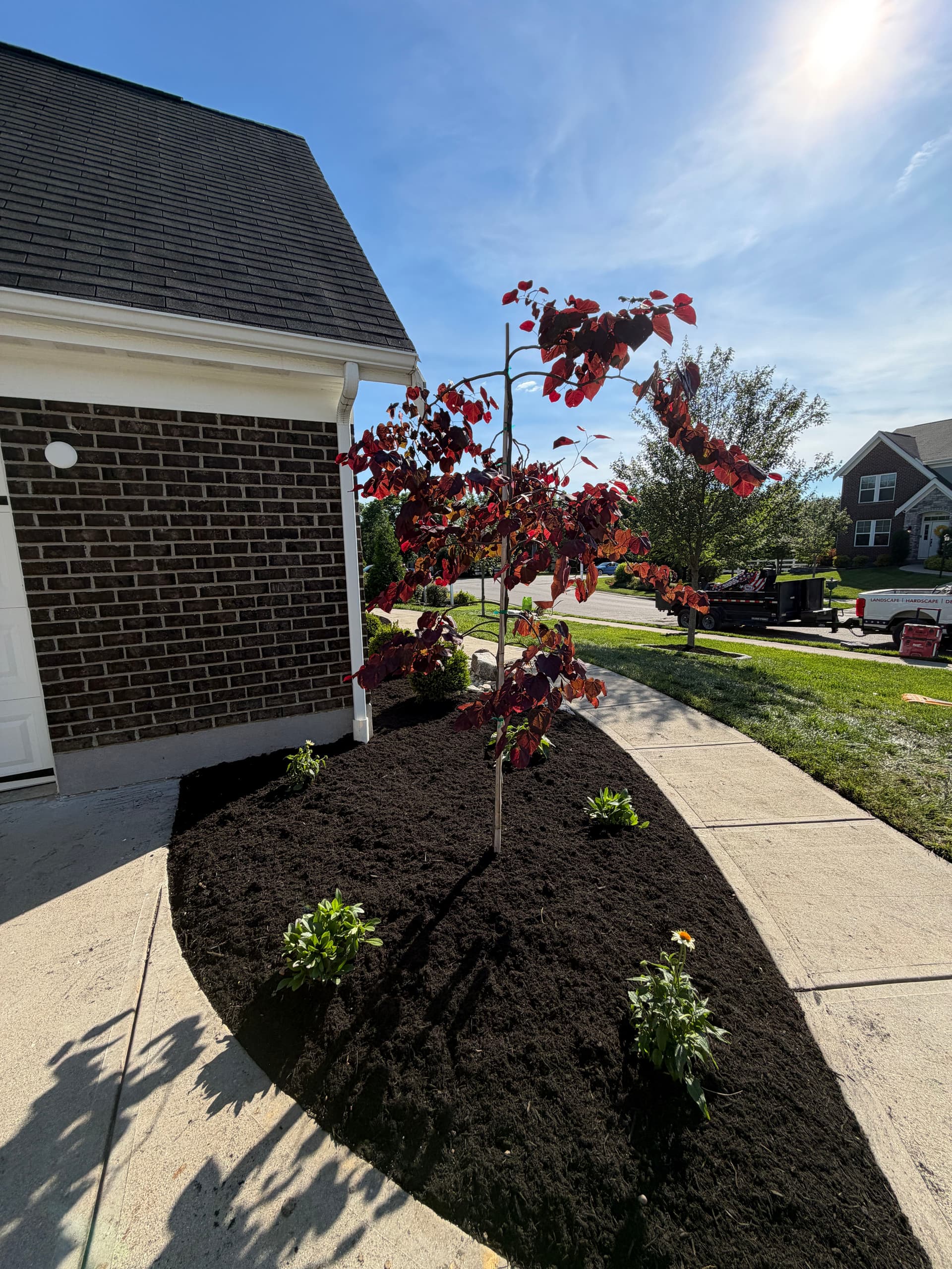 Gallery photos for Full Landscape Tear-Out and Reinstall in Union KY: Image #4