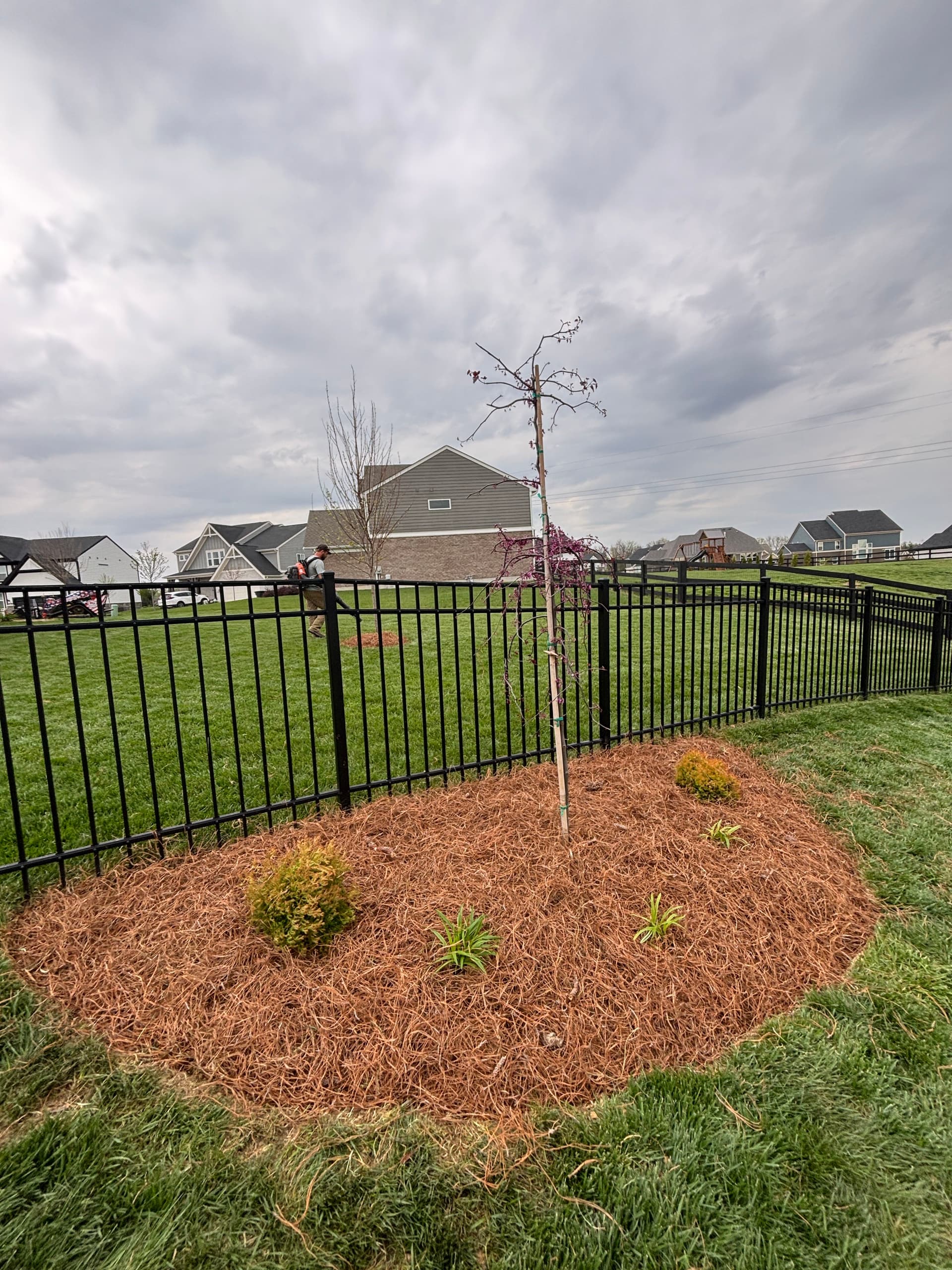 Gallery photos for 5 New Landscape Beds, Trees, and a Dry Creek Bed Built Right: Image #2